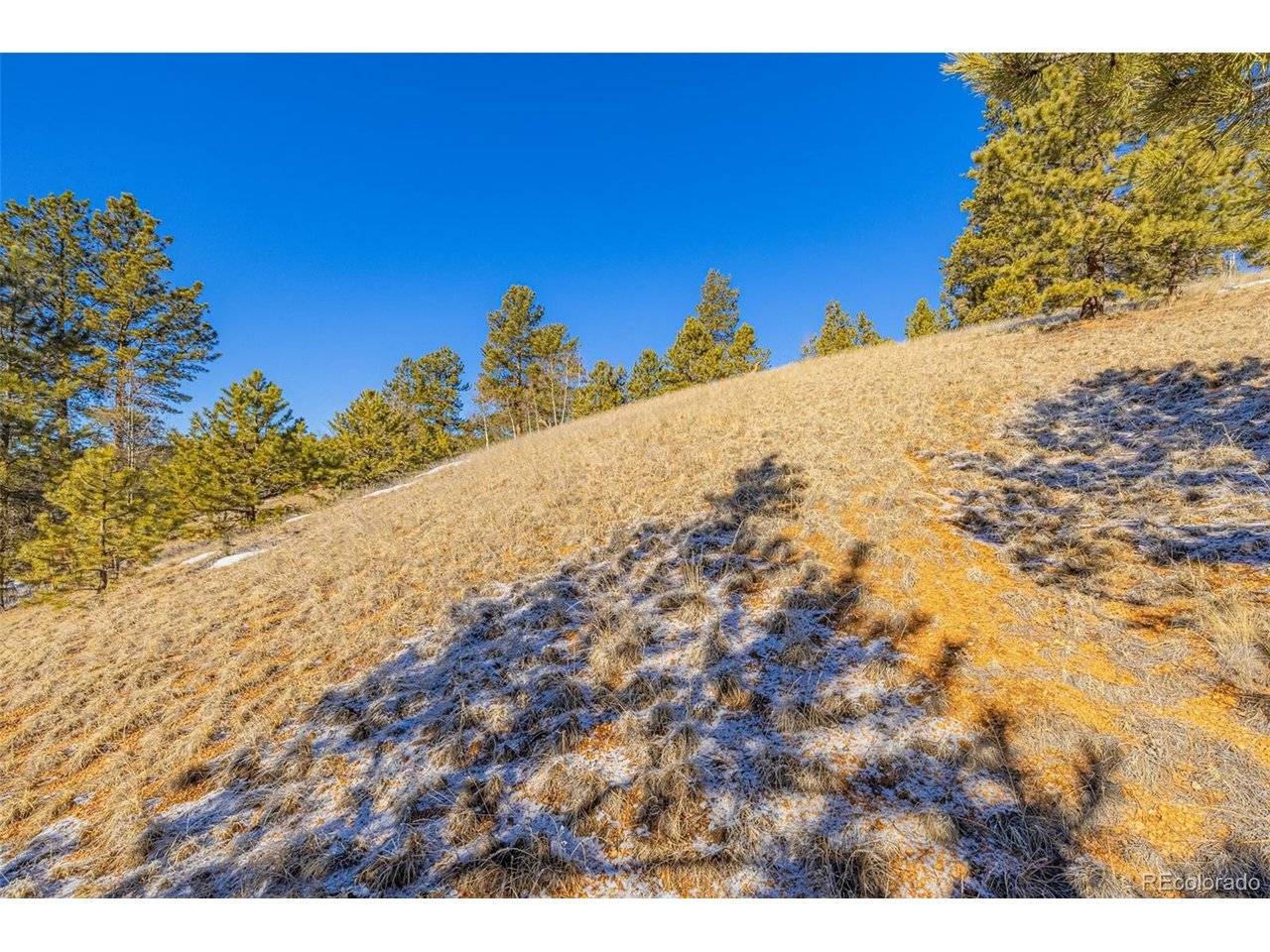 772 E Bison Creek, Florissant, CO 80816