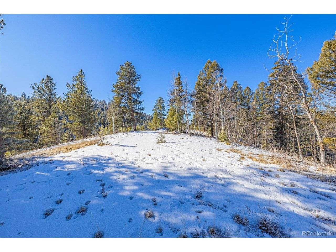 772 E Bison Creek, Florissant, CO 80816