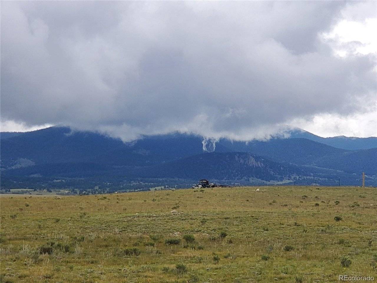 Elk, Hartsel, CO 80449