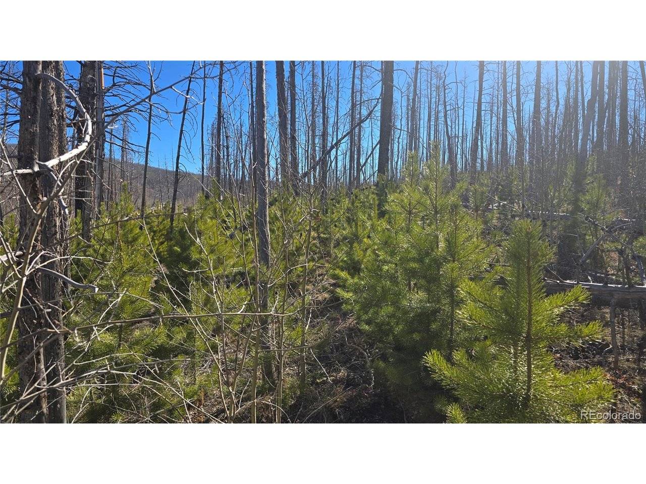 1470 Von Heyl, Fort Garland, CO 81133