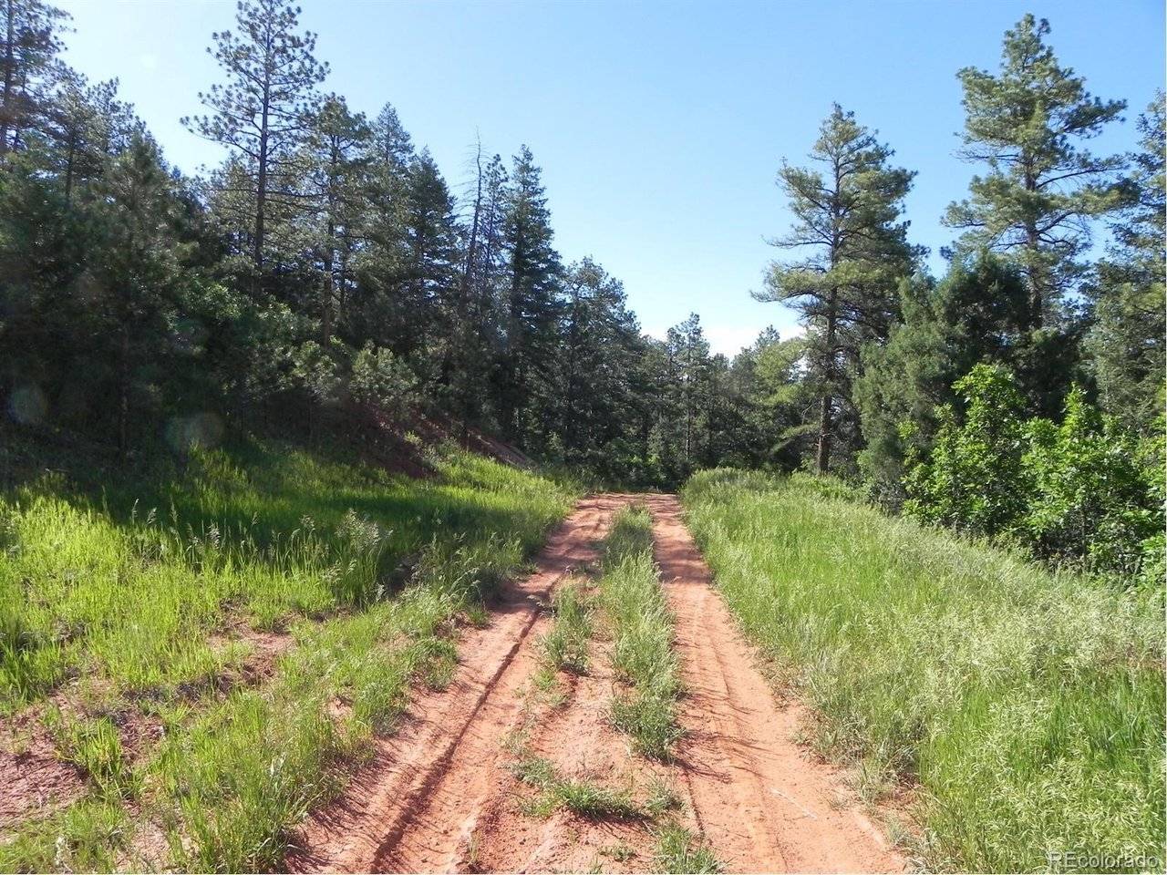 8117 Acoma, Larkspur, CO 80118