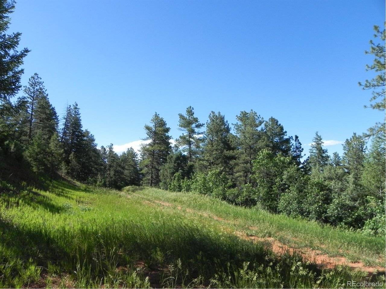 8117 Acoma, Larkspur, CO 80118