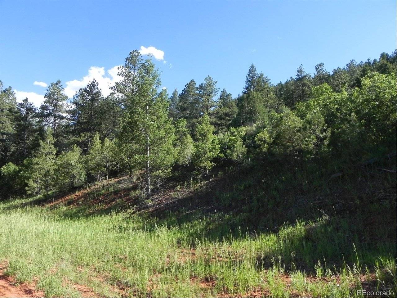 8117 Acoma, Larkspur, CO 80118