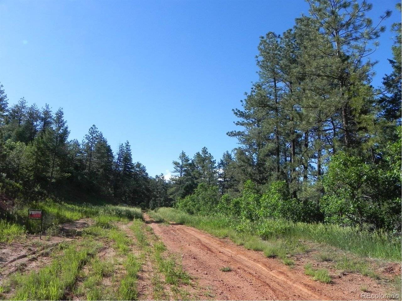 8117 Acoma, Larkspur, CO 80118