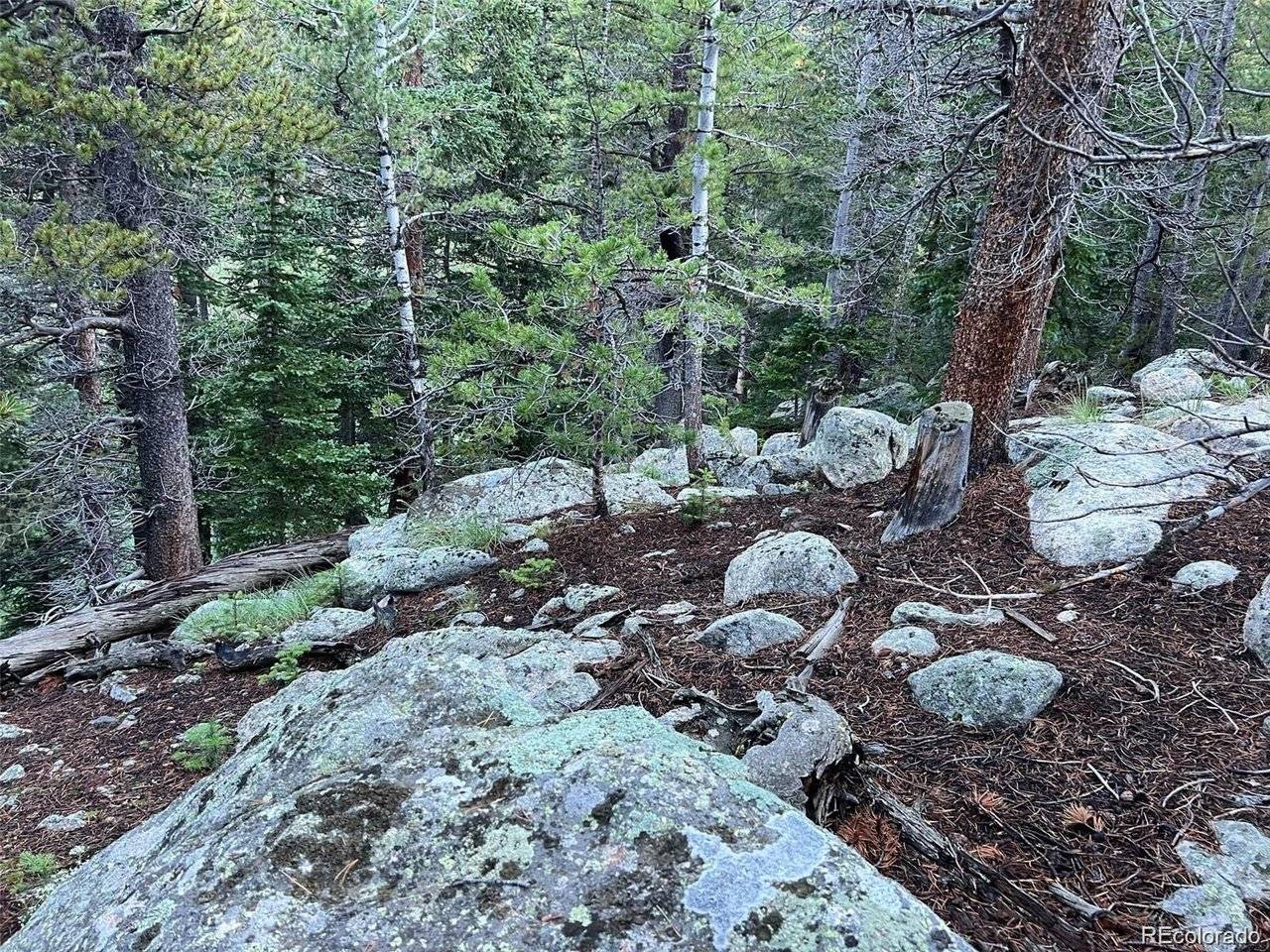 111 Lake, Idaho Springs, CO 80452