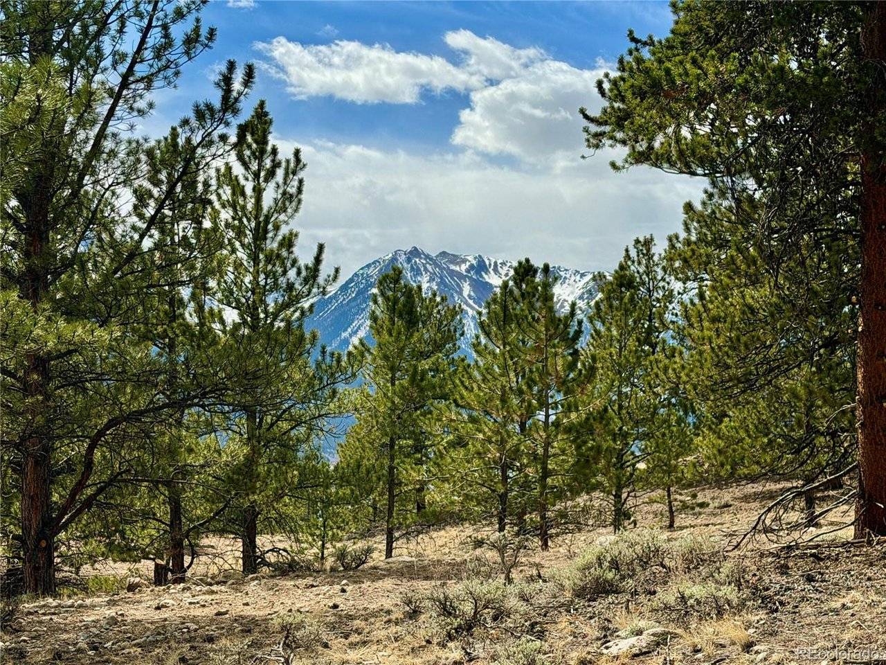 142 La Plata Peak, Twin Lakes, CO 81251