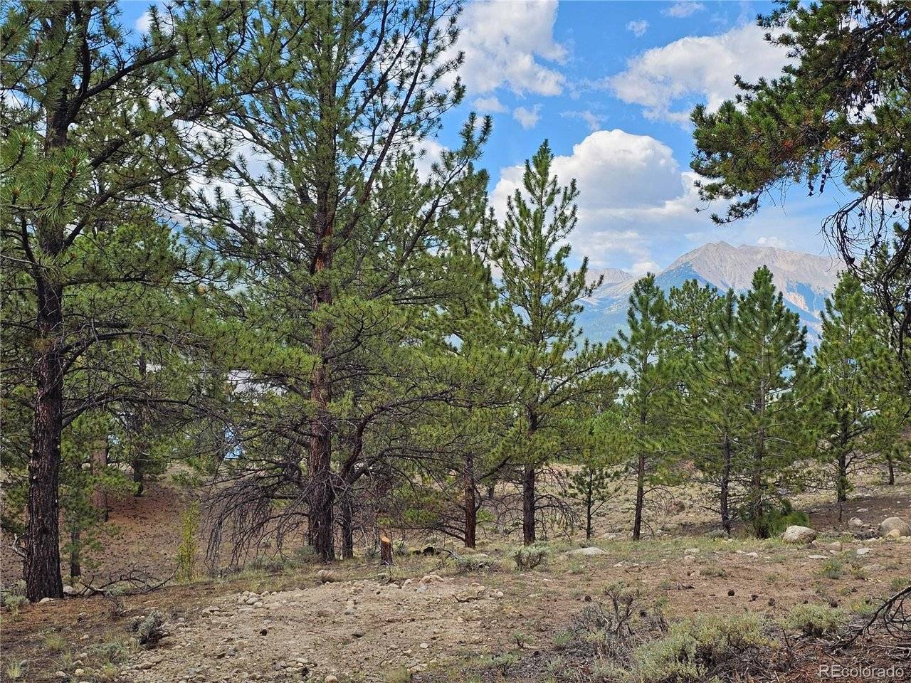 142 La Plata Peak, Twin Lakes, CO 81251