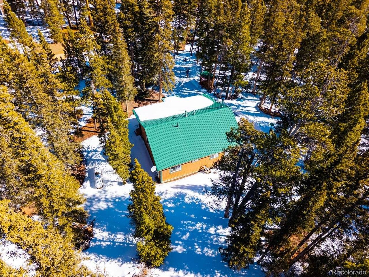 182 Rachaels, Alma, CO 80420