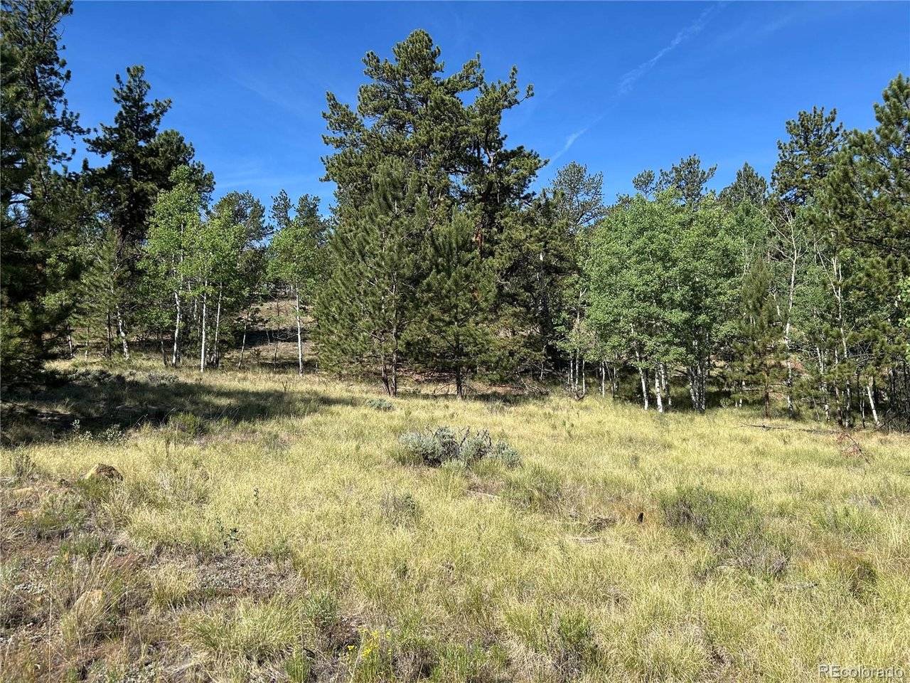519 Hayhook, Hartsel, CO 80449
