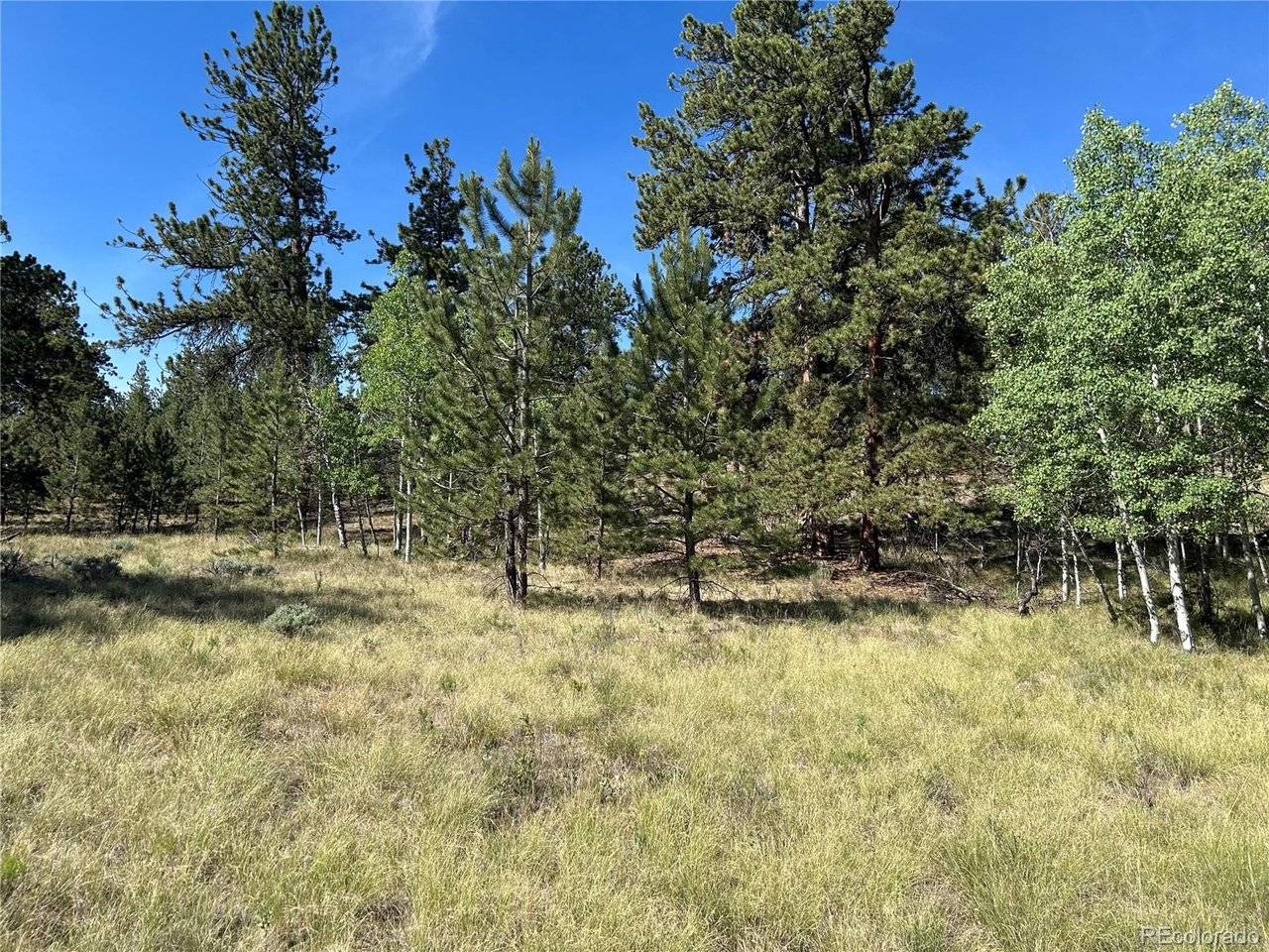 519 Hayhook, Hartsel, CO 80449