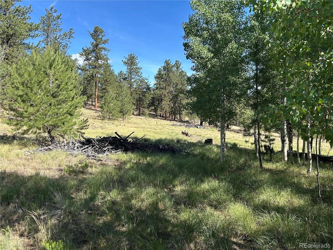 519 Hayhook, Hartsel, CO 80449