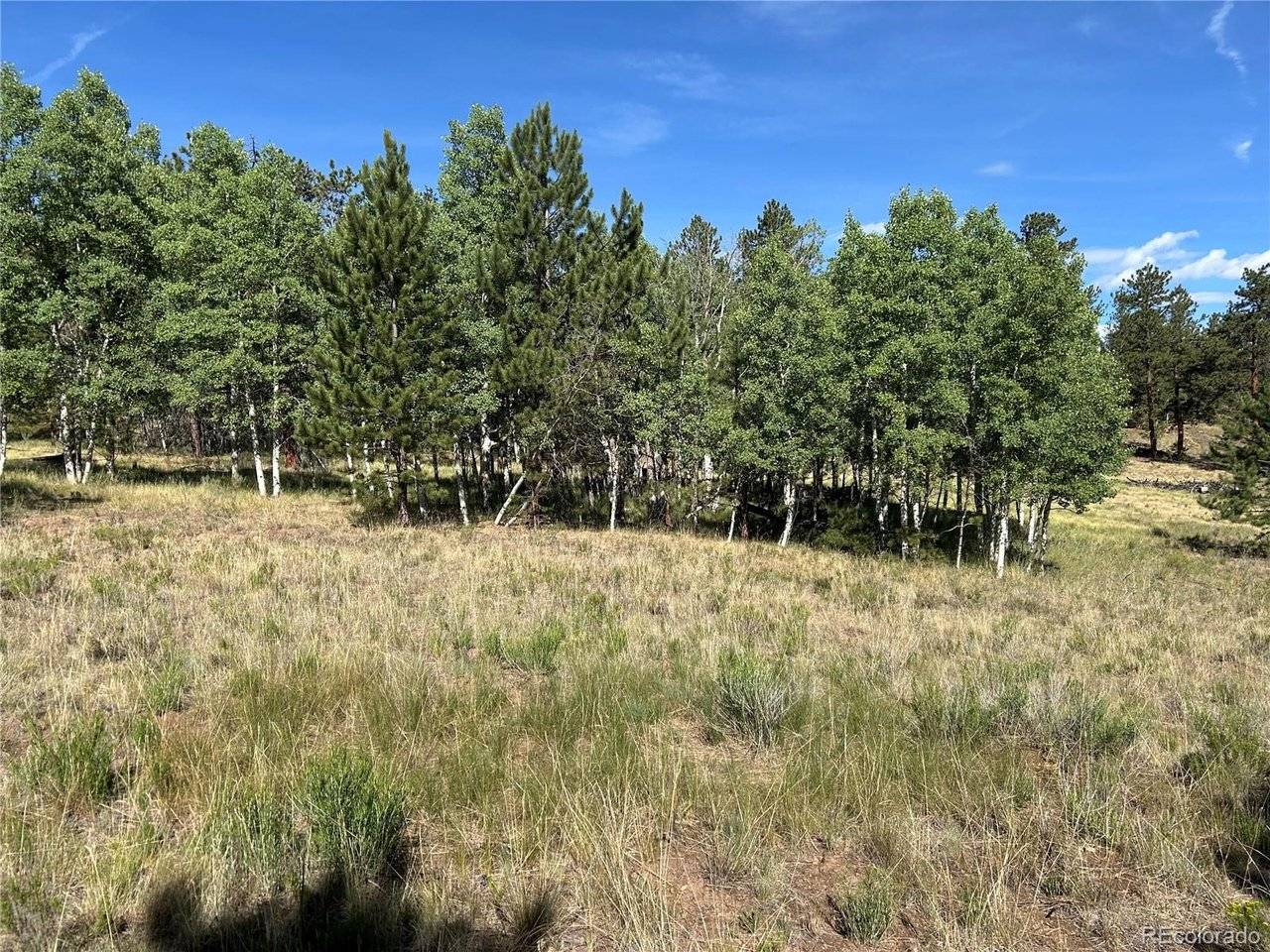 519 Hayhook, Hartsel, CO 80449