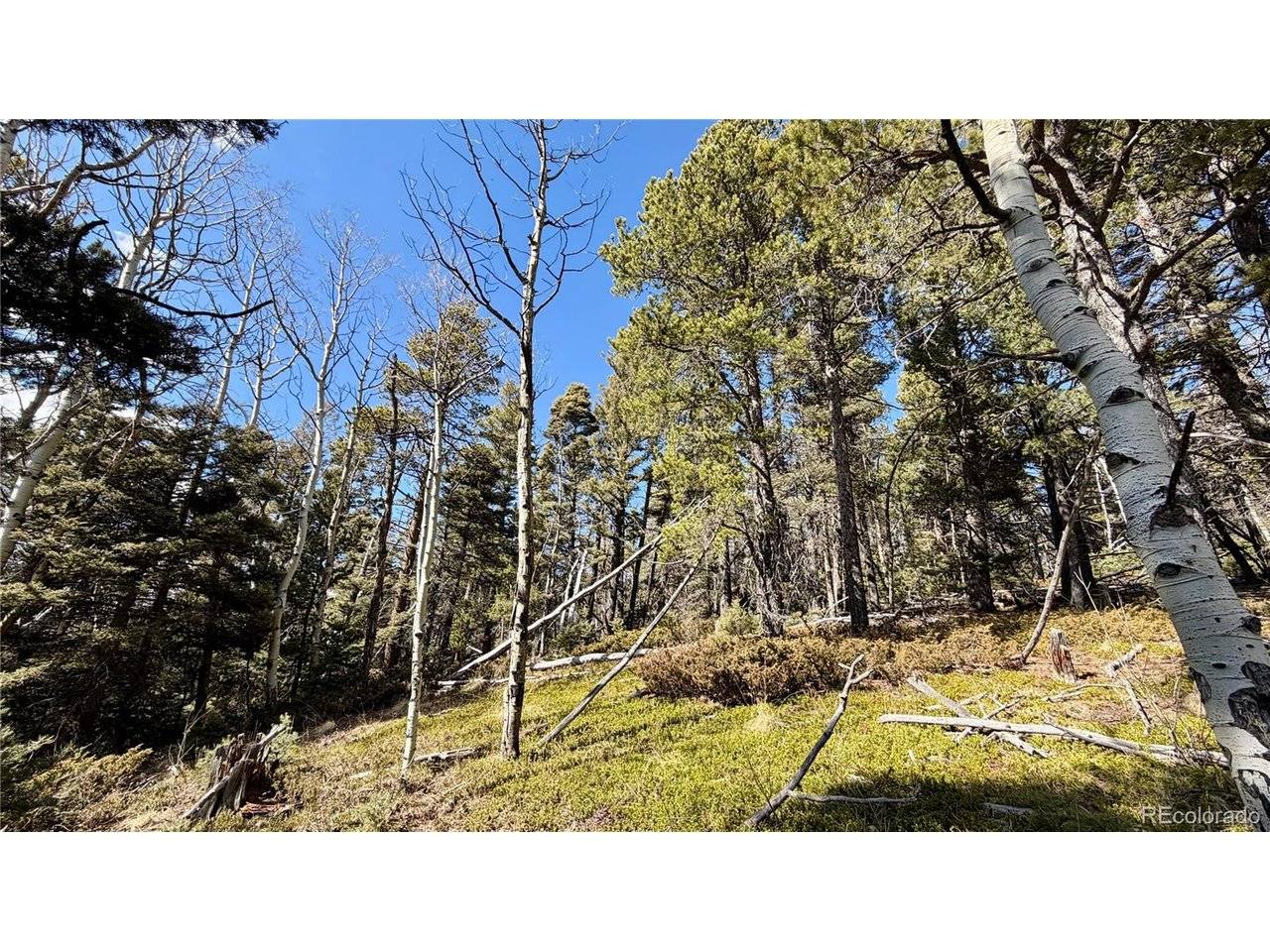 2796 Moir, Fort Garland, CO 81133