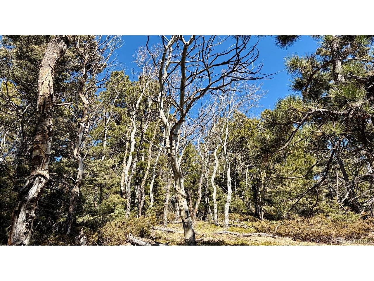 2796 Moir, Fort Garland, CO 81133