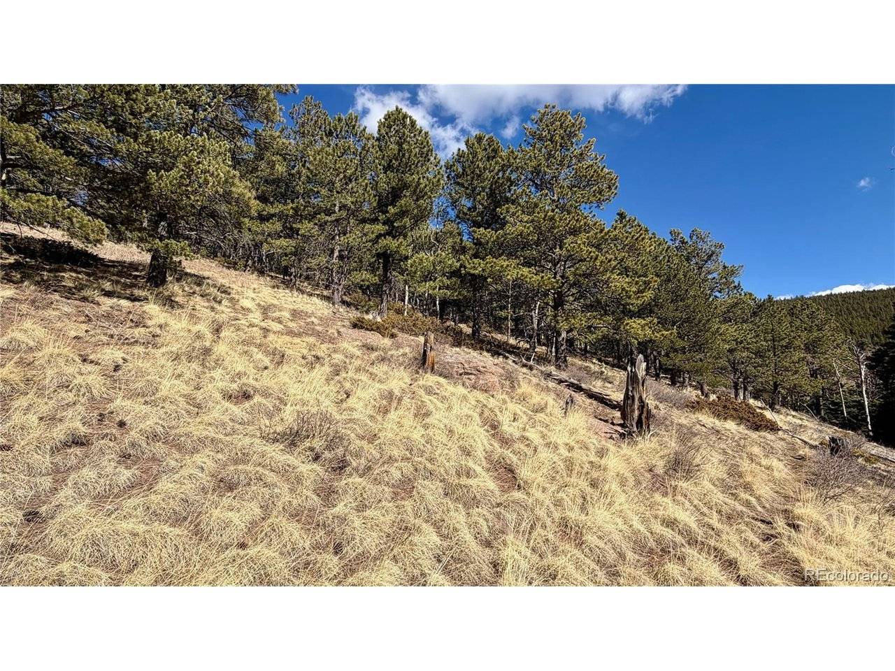 2796 Moir, Fort Garland, CO 81133