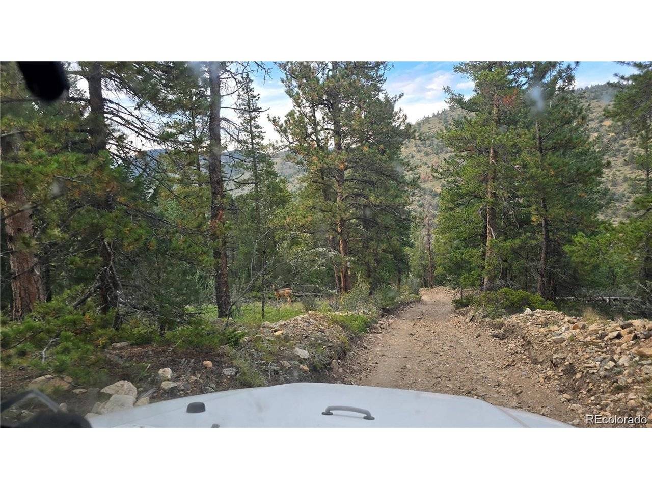 Address not disclosed, Dumont, CO 80436