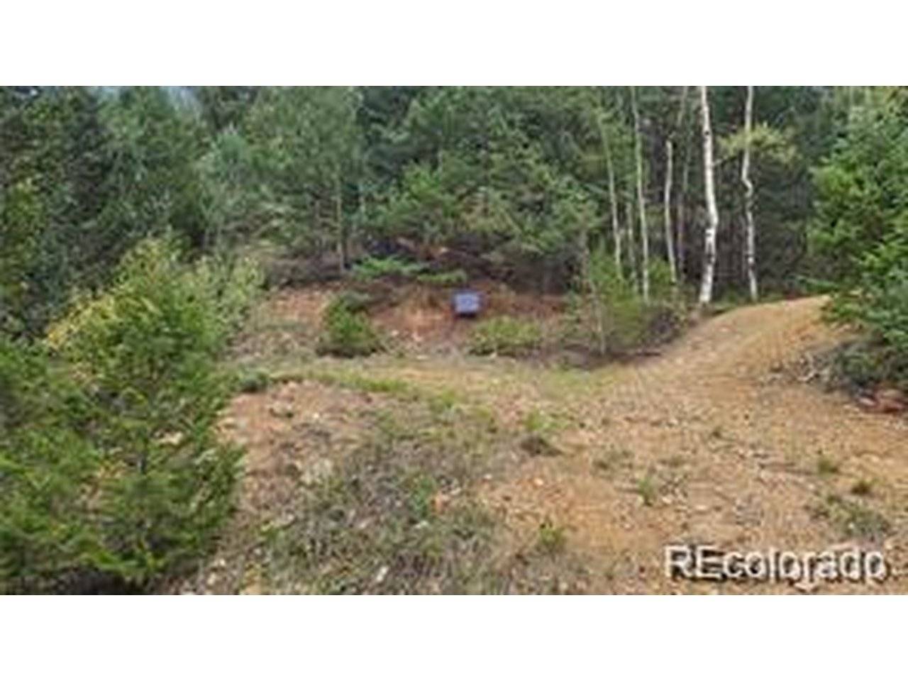 Address not disclosed, Dumont, CO 80436