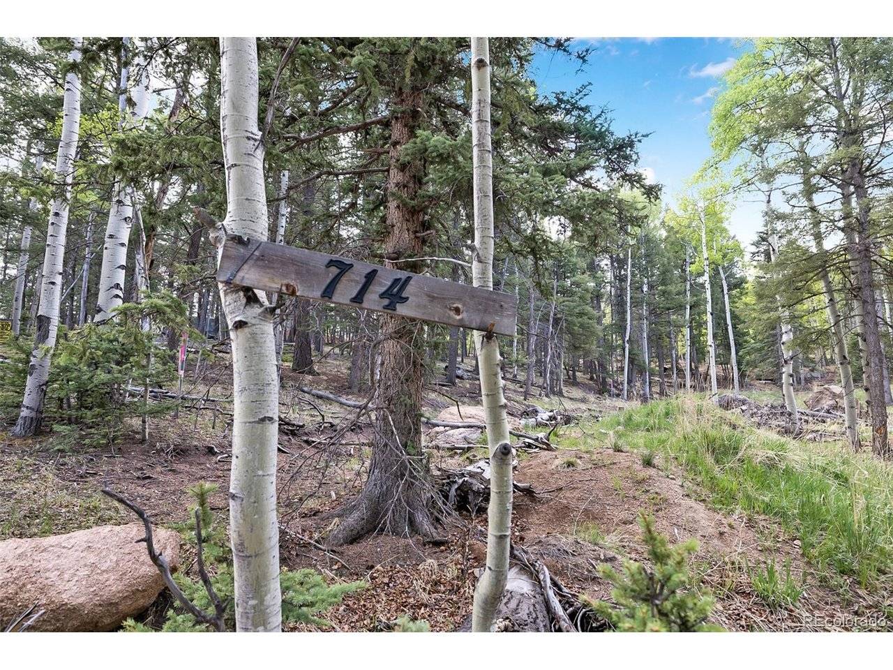 714 Will Stutley, Divide, CO 80814