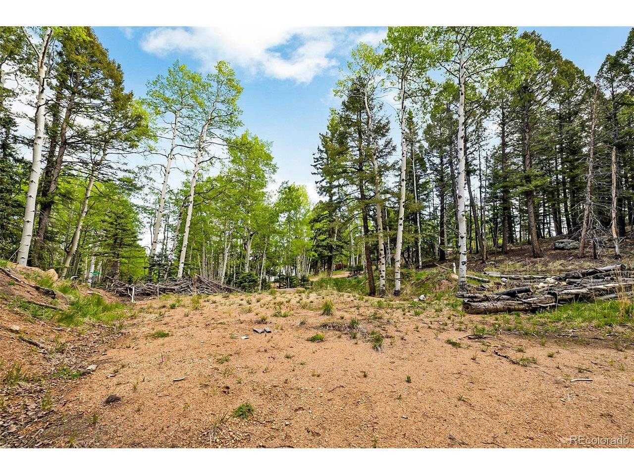 714 Will Stutley, Divide, CO 80814