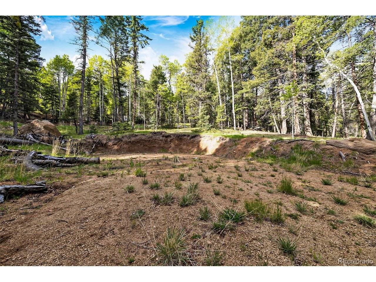 714 Will Stutley, Divide, CO 80814