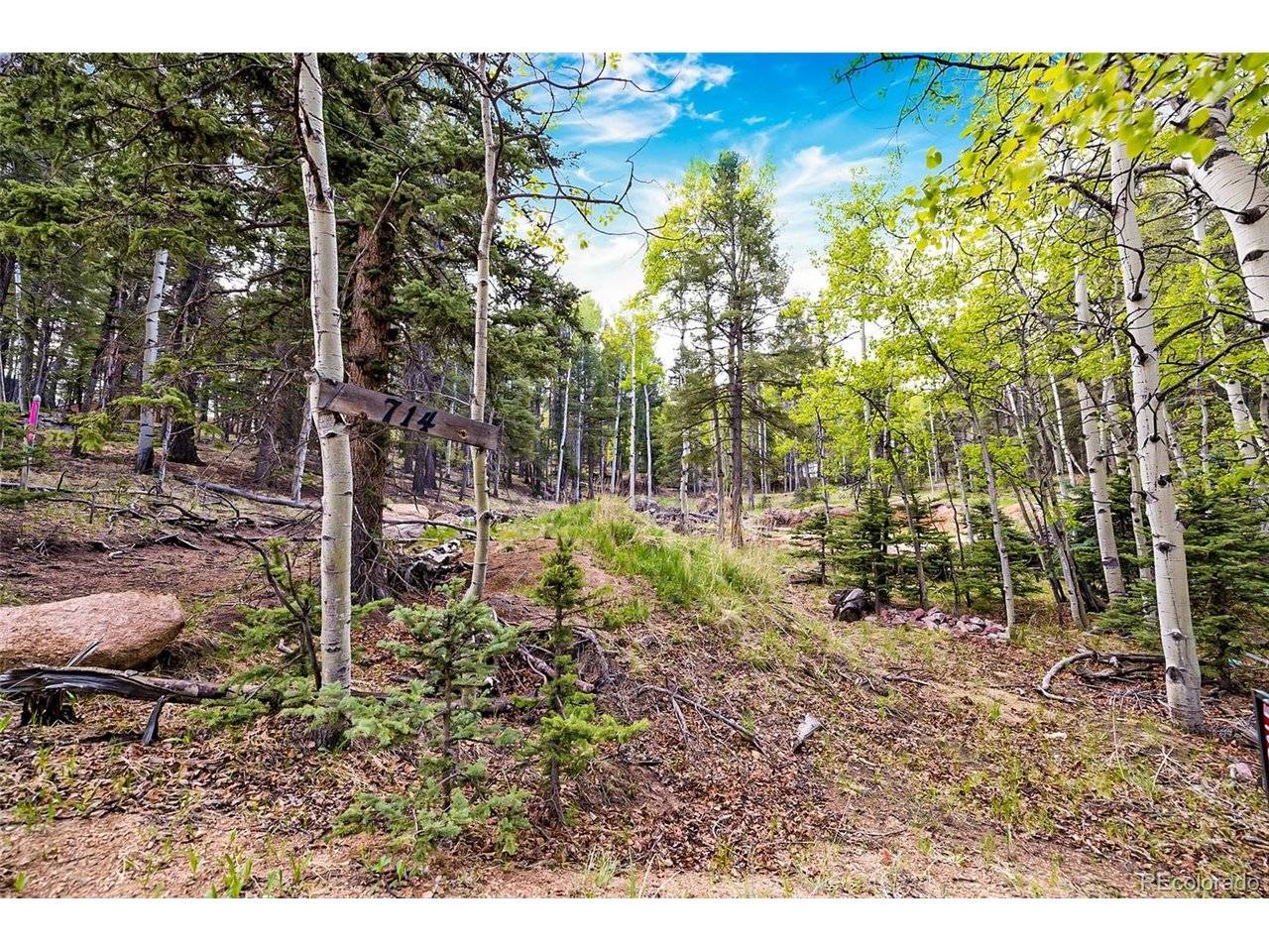 714 Will Stutley, Divide, CO 80814