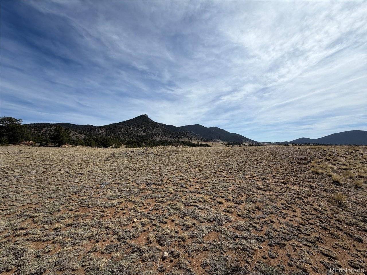 74 Craig, Hartsel, CO 80449