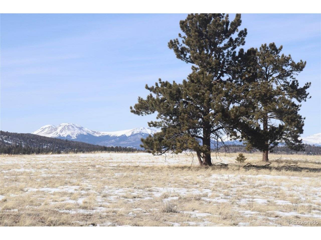 96 Baler, Hartsel, CO 80449