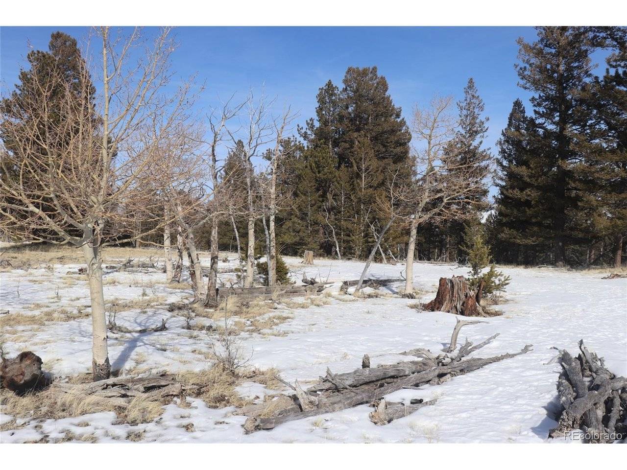 96 Baler, Hartsel, CO 80449