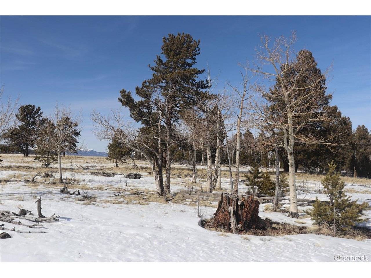 96 Baler, Hartsel, CO 80449