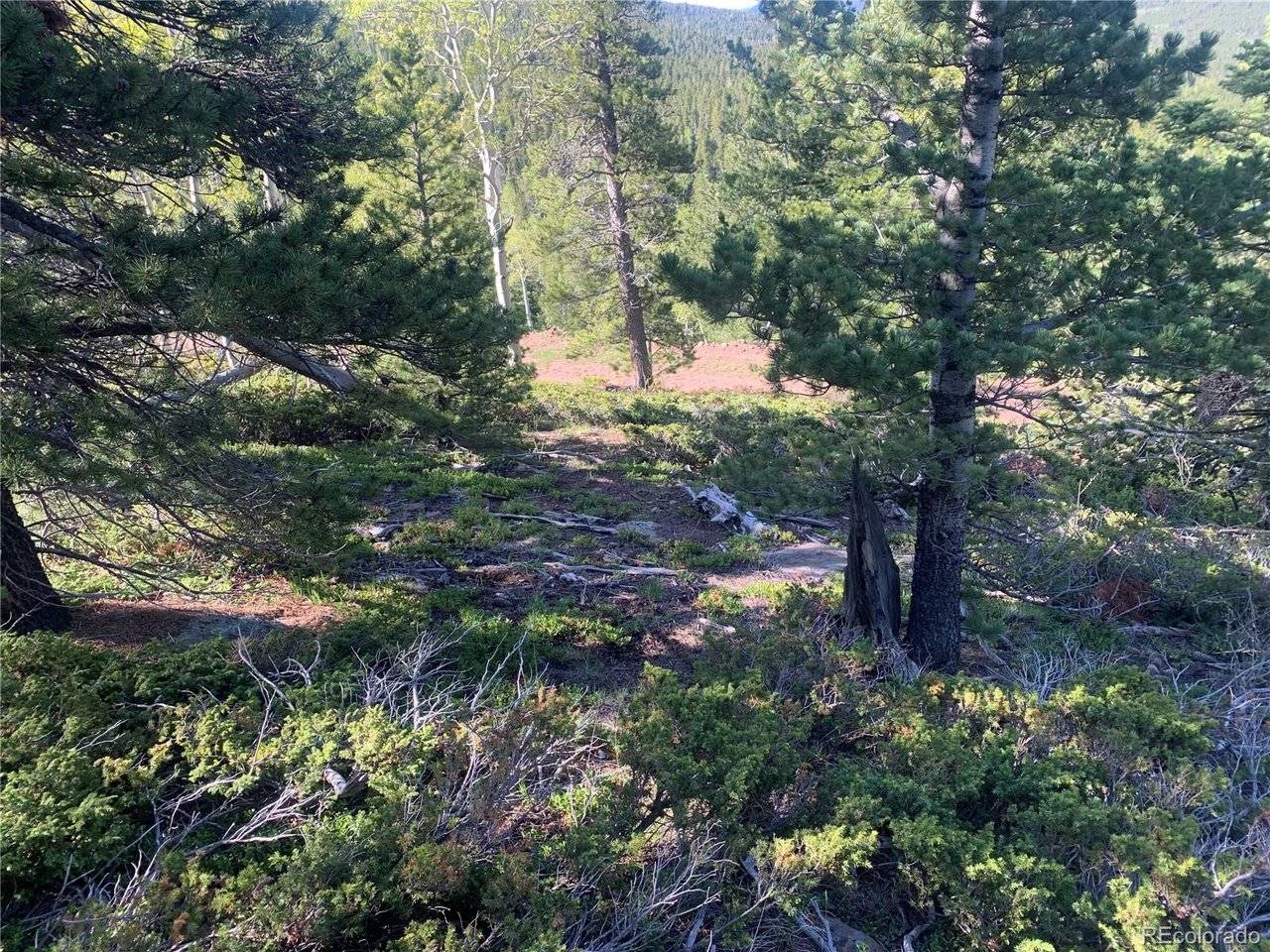3207 VAUGHN, Fort Garland, CO 81133