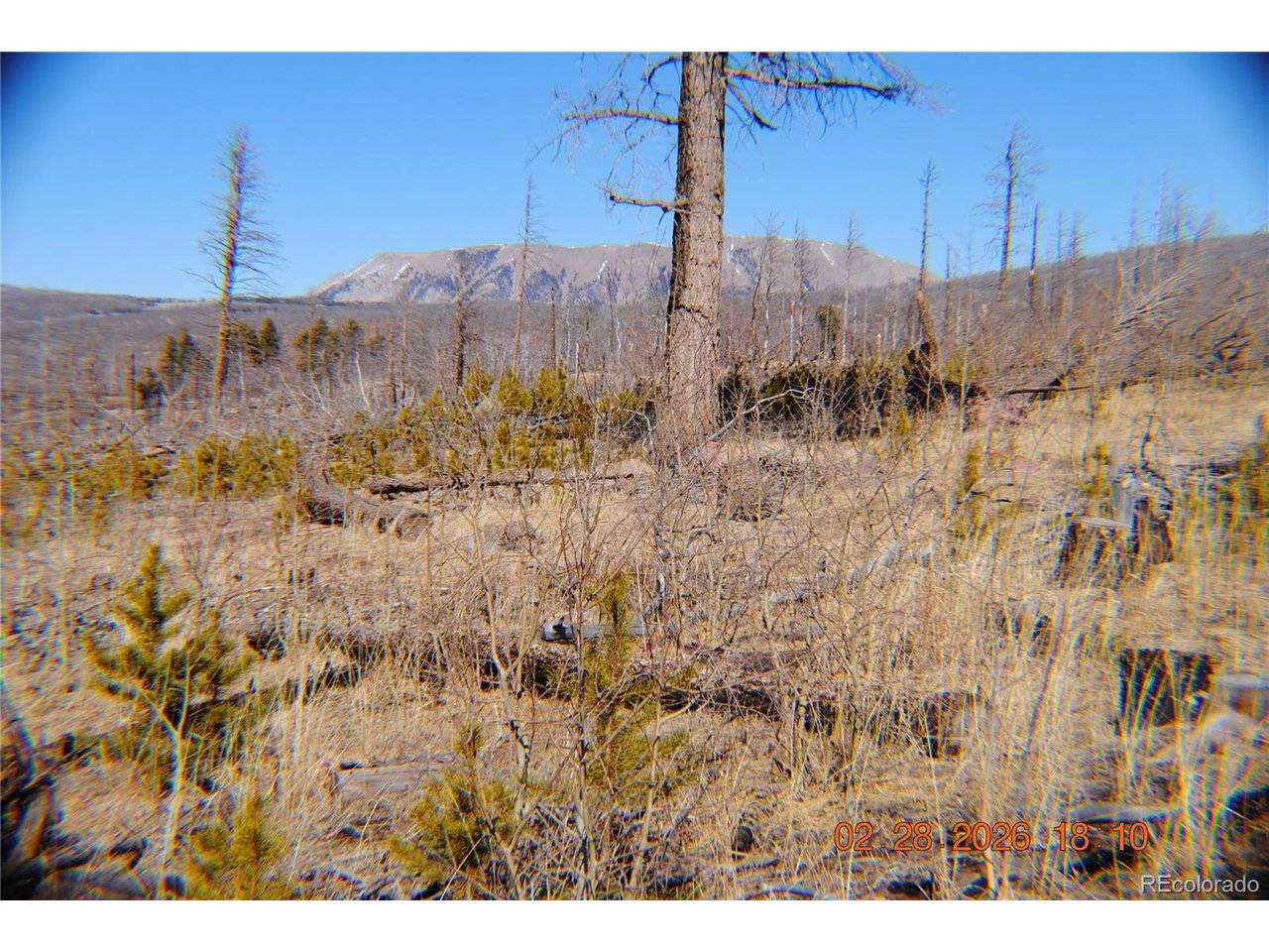 1043 saul, Fort Garland, CO 81133