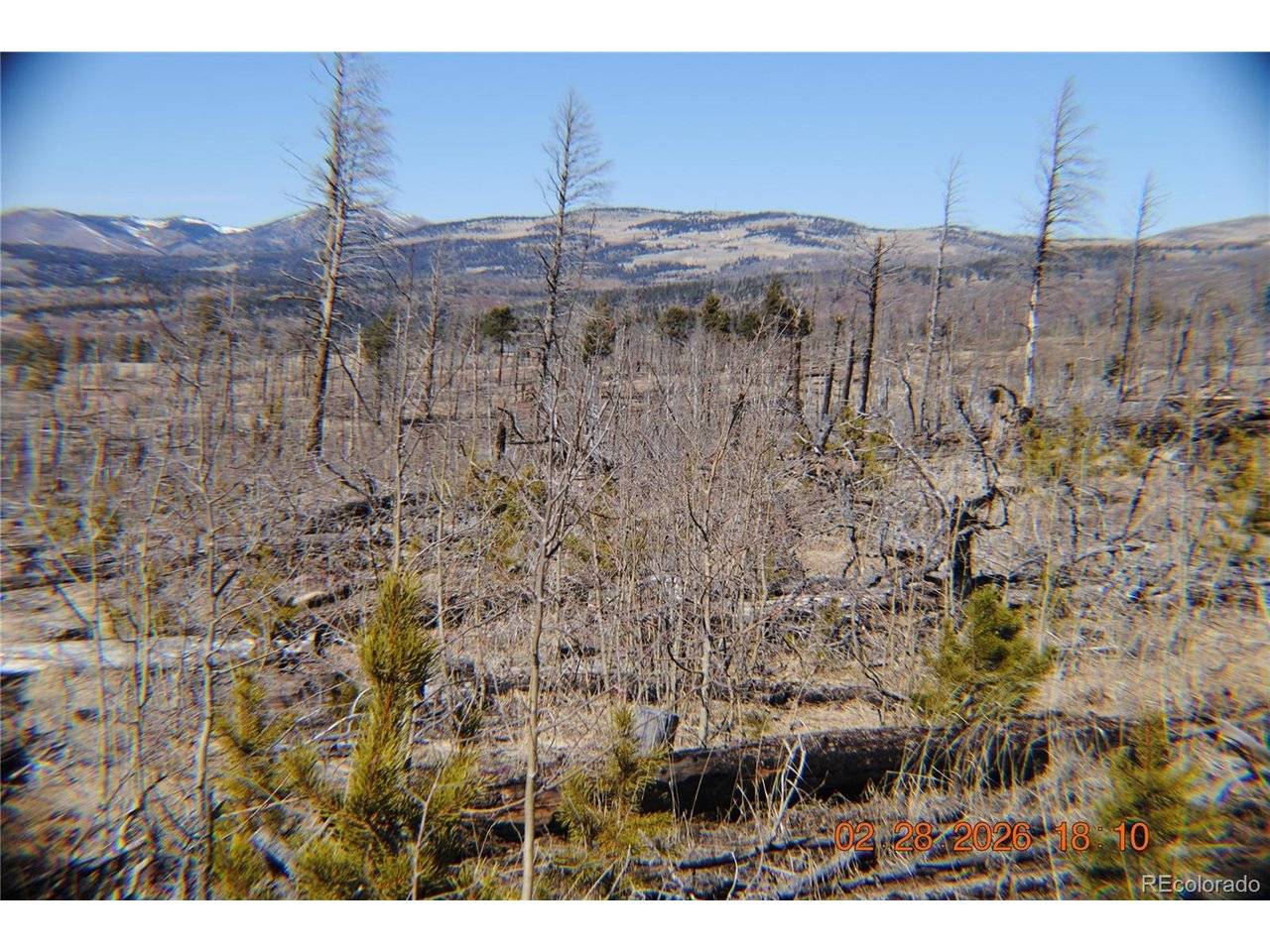 1043 saul, Fort Garland, CO 81133
