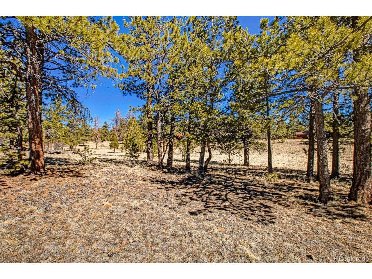 2226 Pitchfork, Hartsel, CO 80449