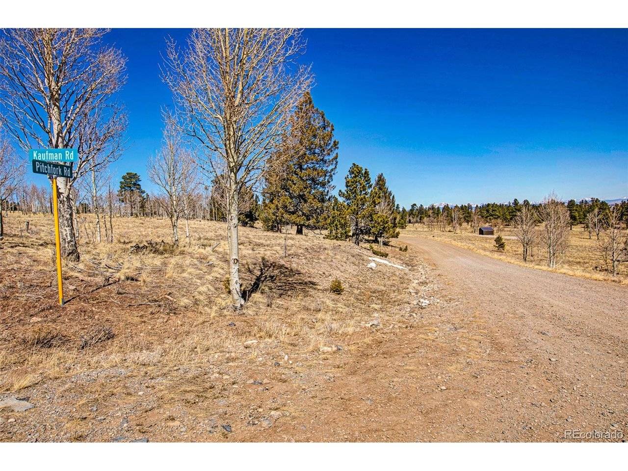 2226 Pitchfork, Hartsel, CO 80449