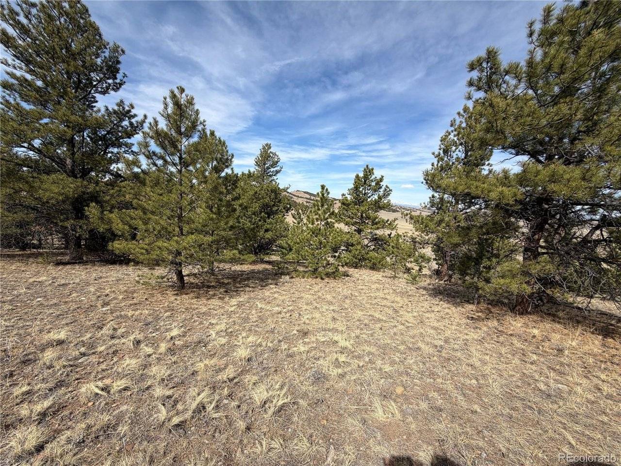 990 Coyotero, Hartsel, CO 80449