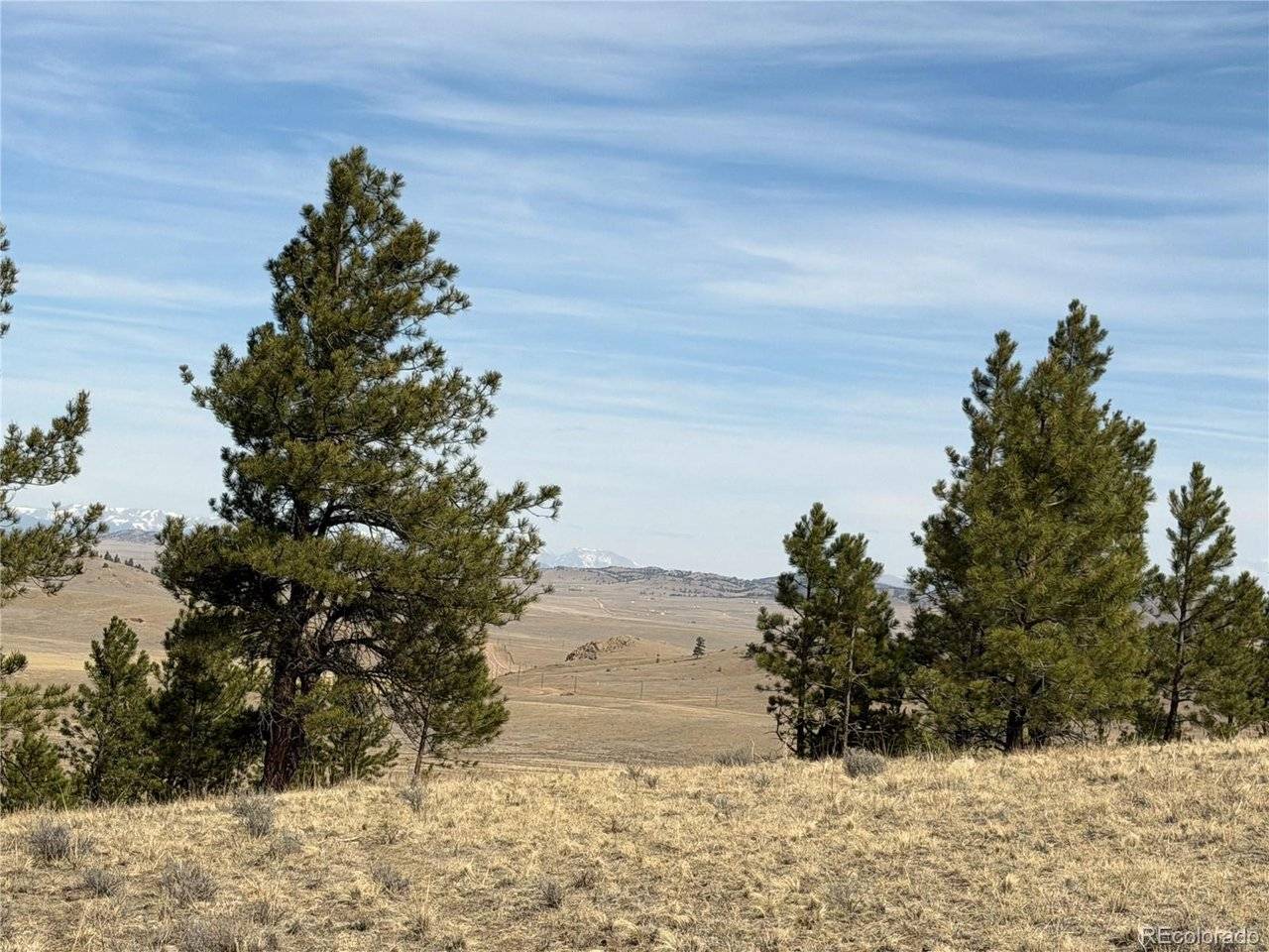 990 Coyotero, Hartsel, CO 80449