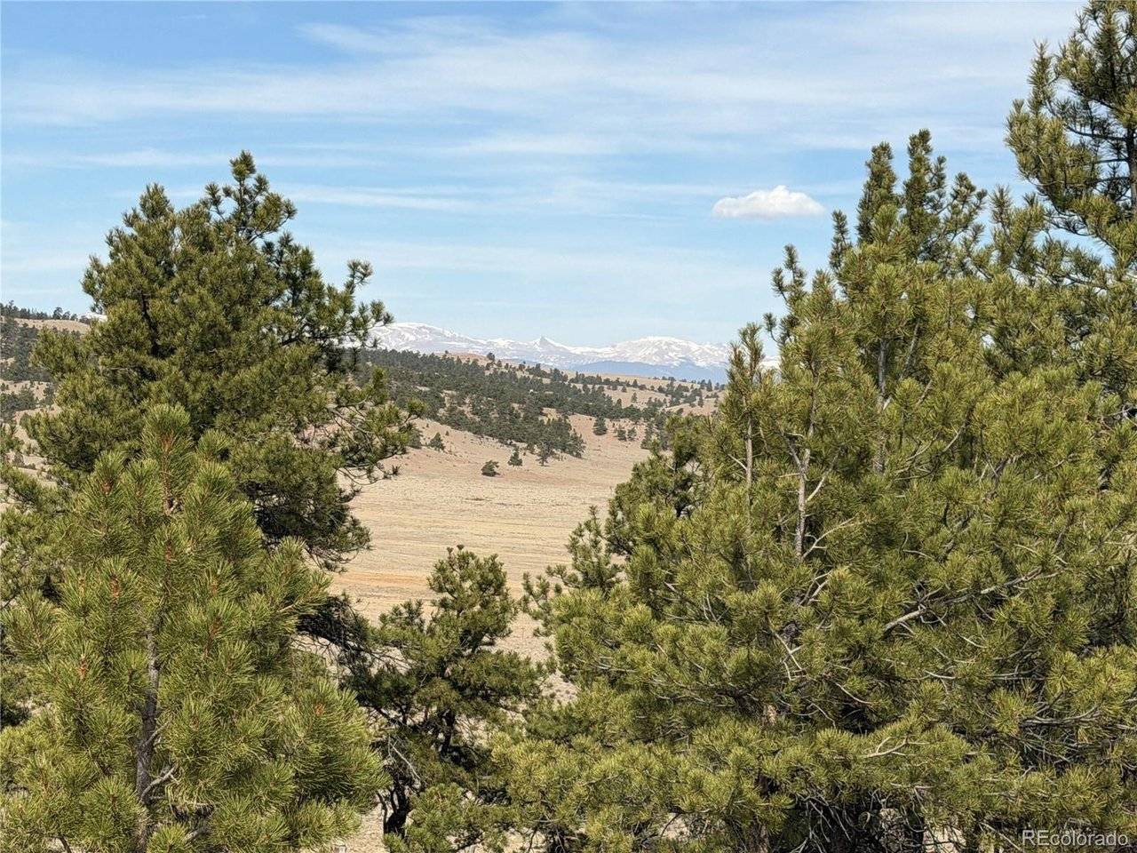 990 Coyotero, Hartsel, CO 80449