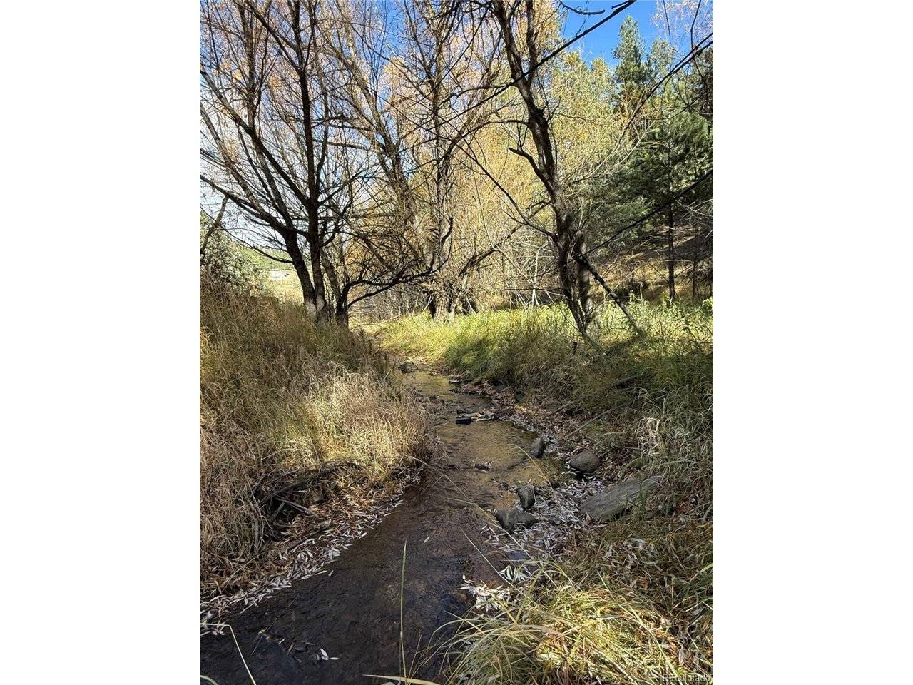 7438 S Turkey Creek, Morrison, CO 80465