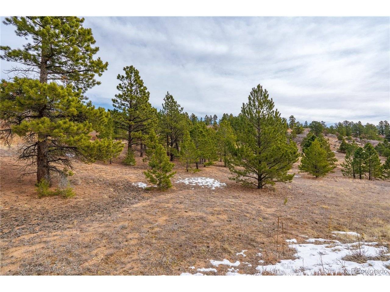 2 Spruce Mountain, Cotopaxi, CO 81223