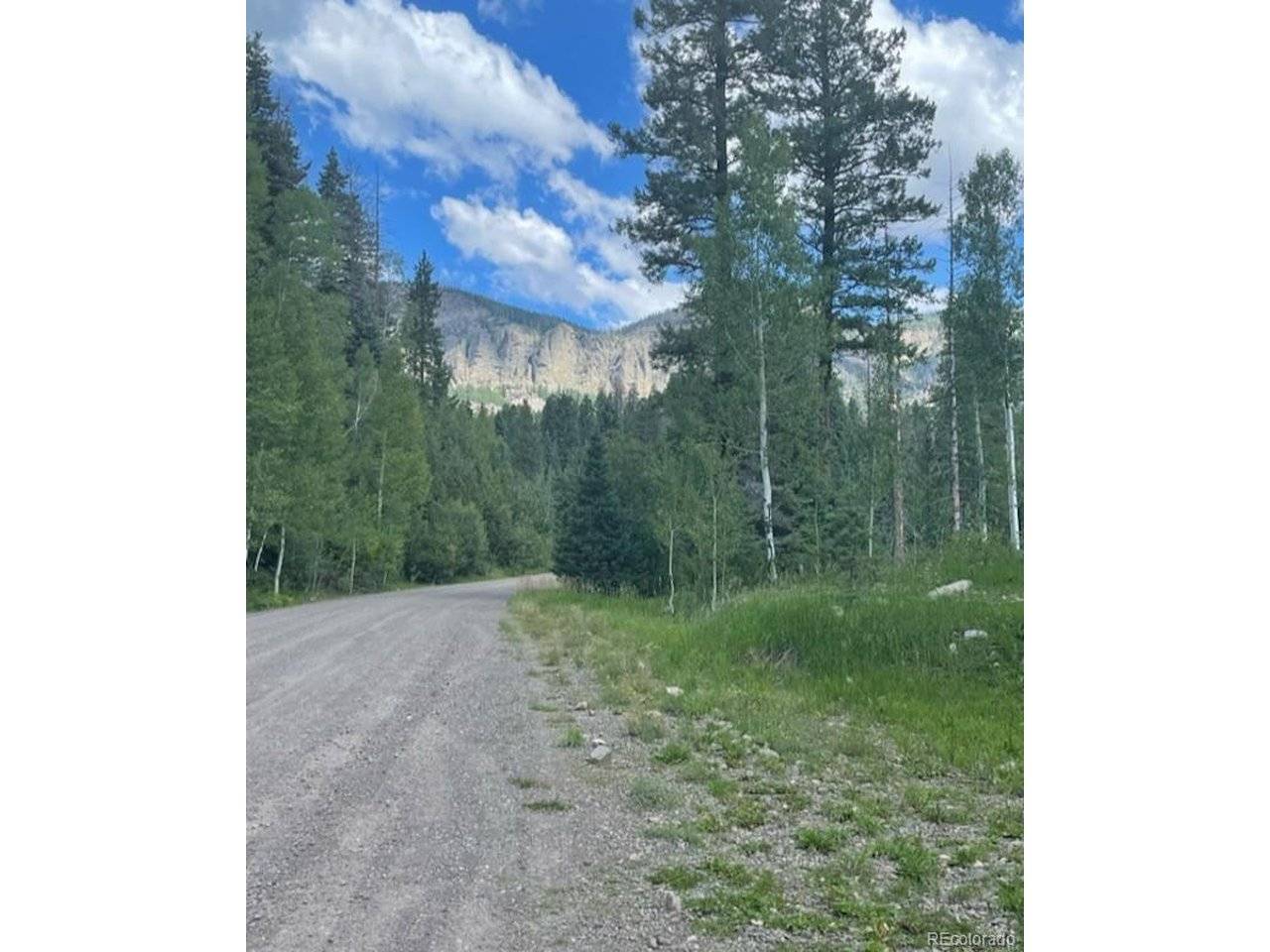 207 Camp Robber, Creede, CO 81130