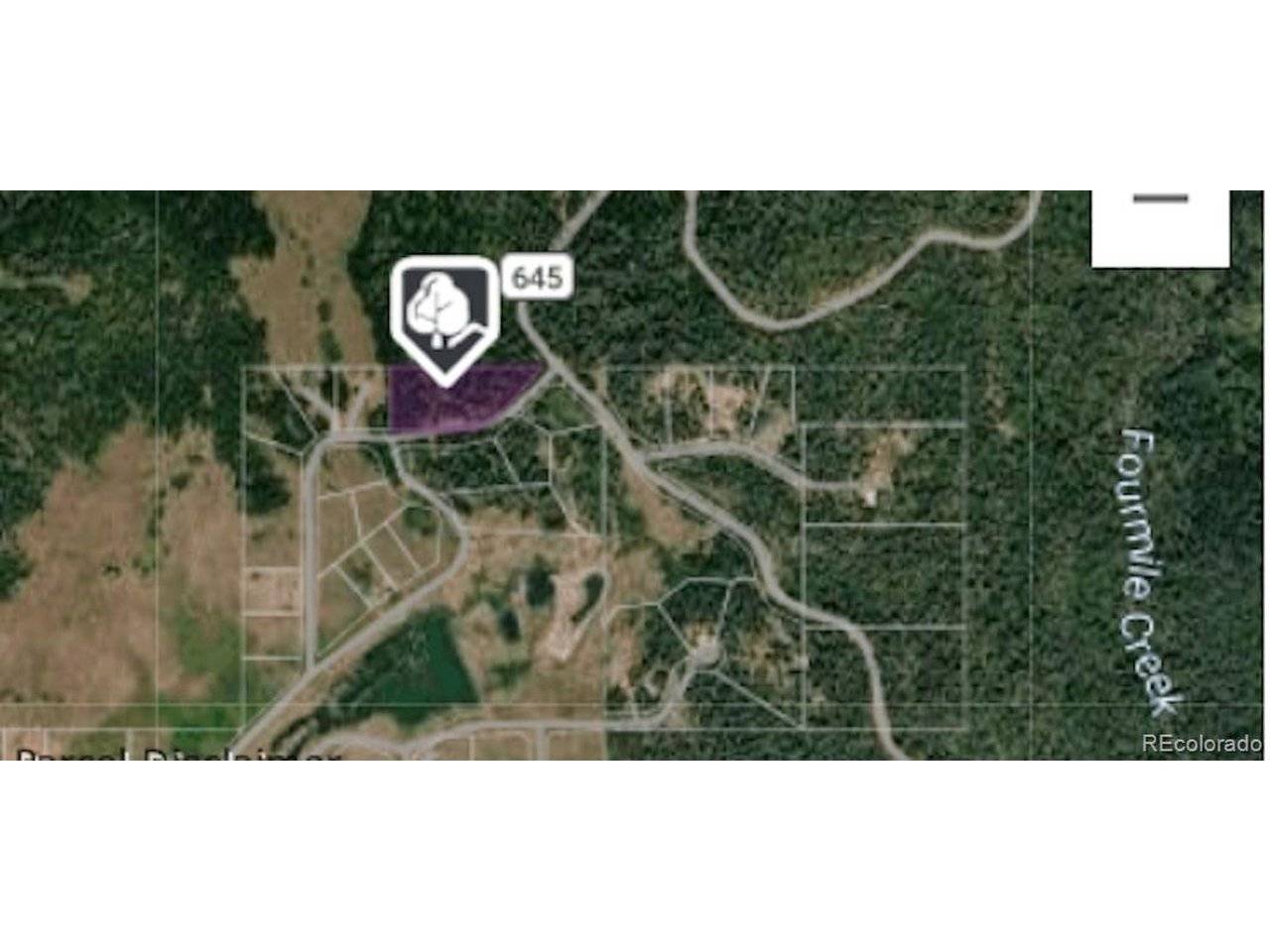 207 Camp Robber, Creede, CO 81130