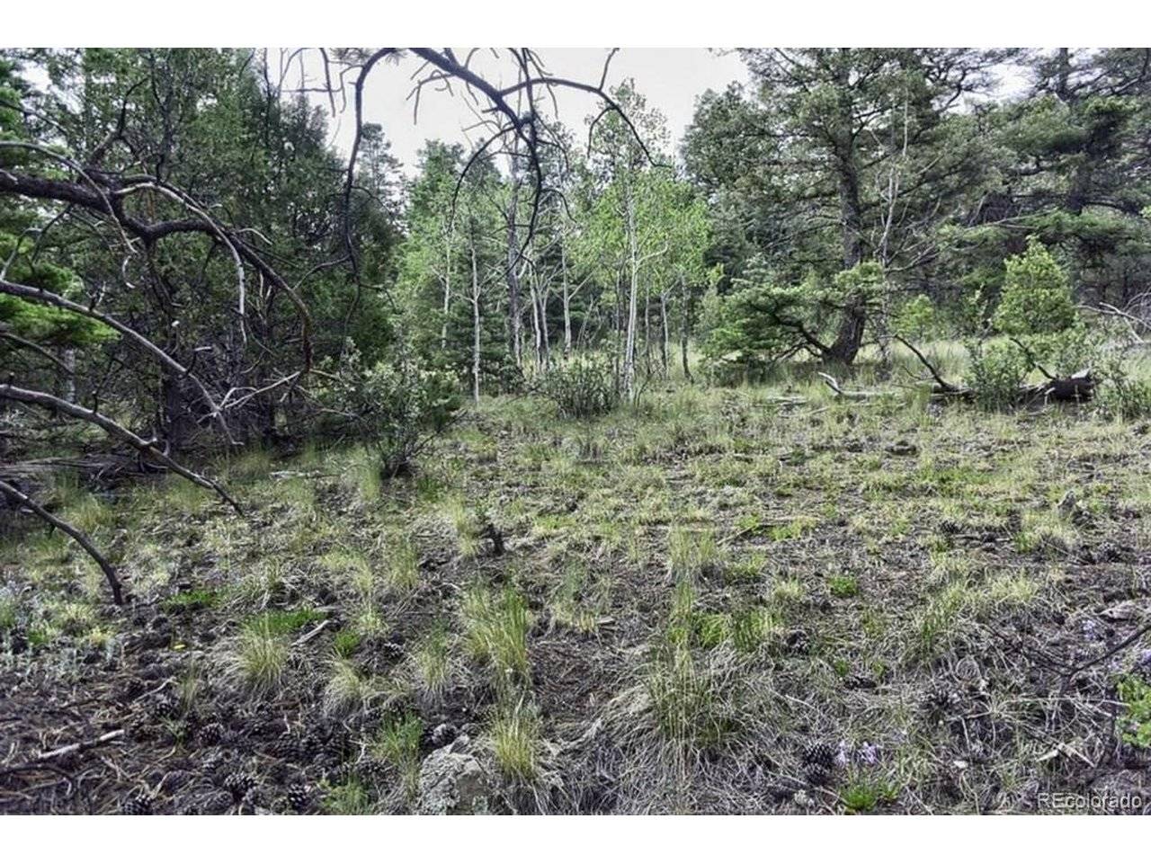 2871 Marcey, Westcliffe, CO 81252