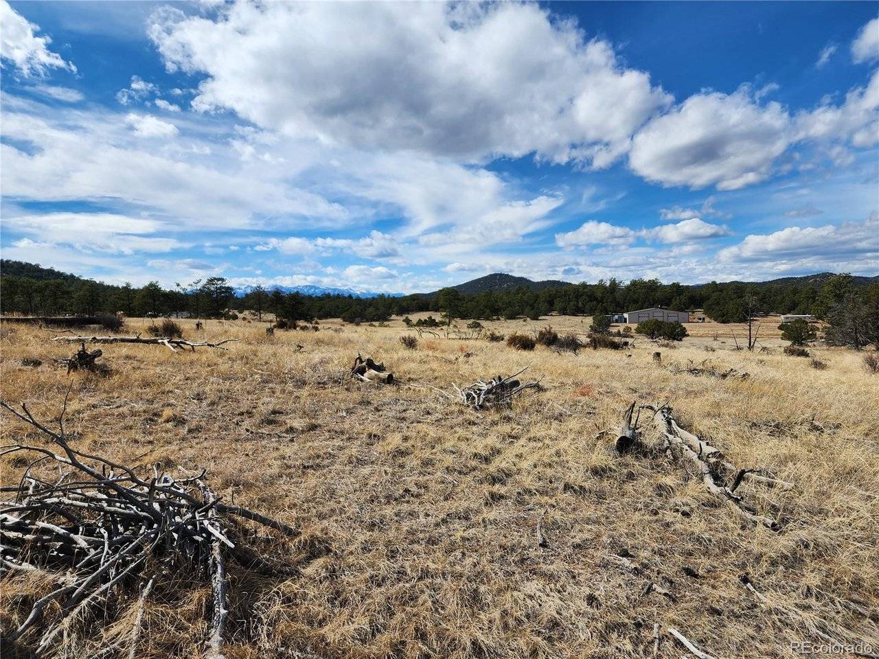 Pinon, Cotopaxi, CO 81223