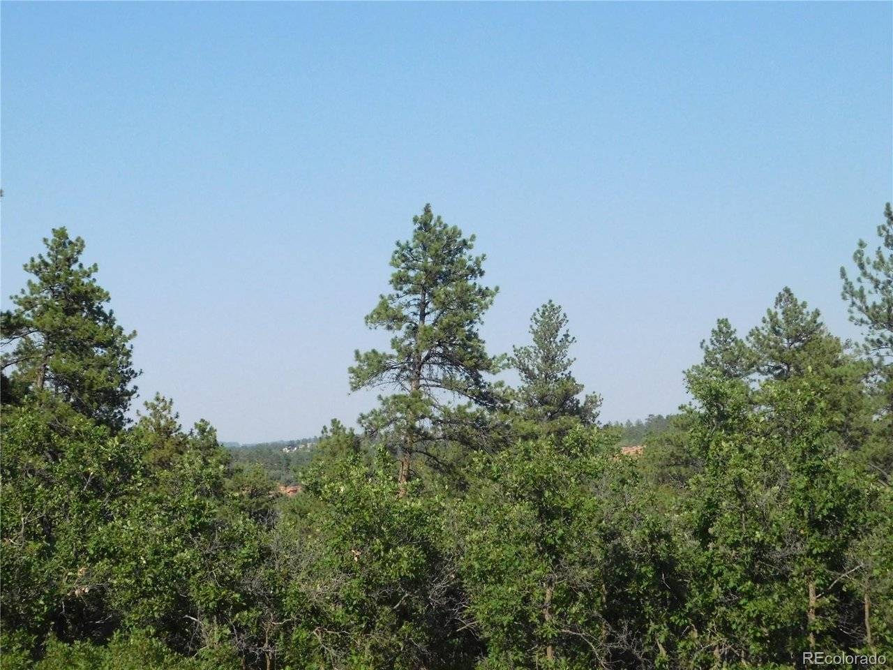 8122 Acoma, Larkspur, CO 80118