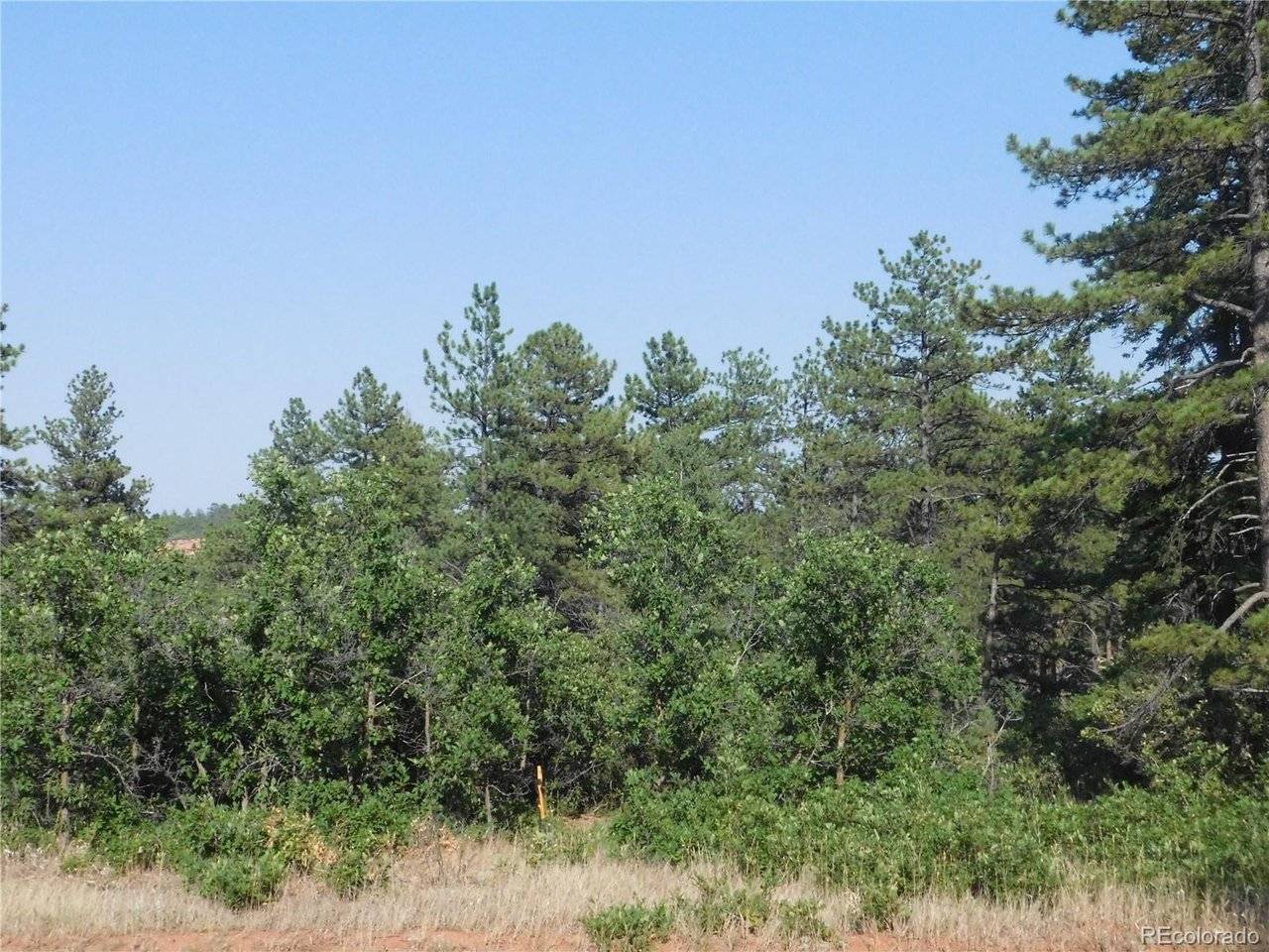 8122 Acoma, Larkspur, CO 80118