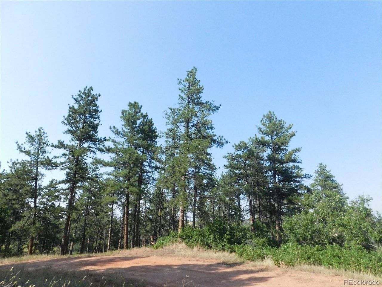 8122 Acoma, Larkspur, CO 80118
