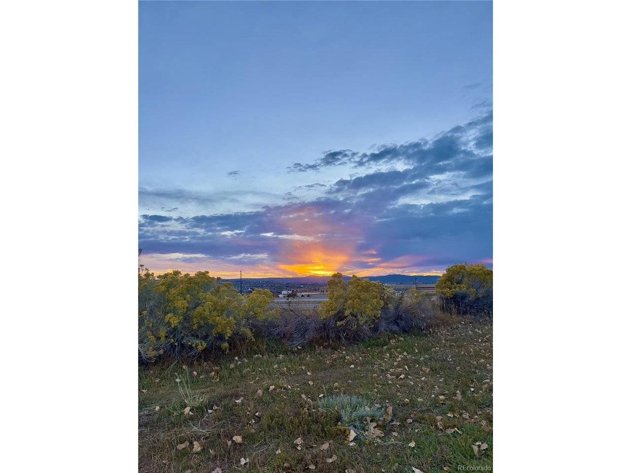 479 Black Feather #3-319, Castle Rock, CO 80104