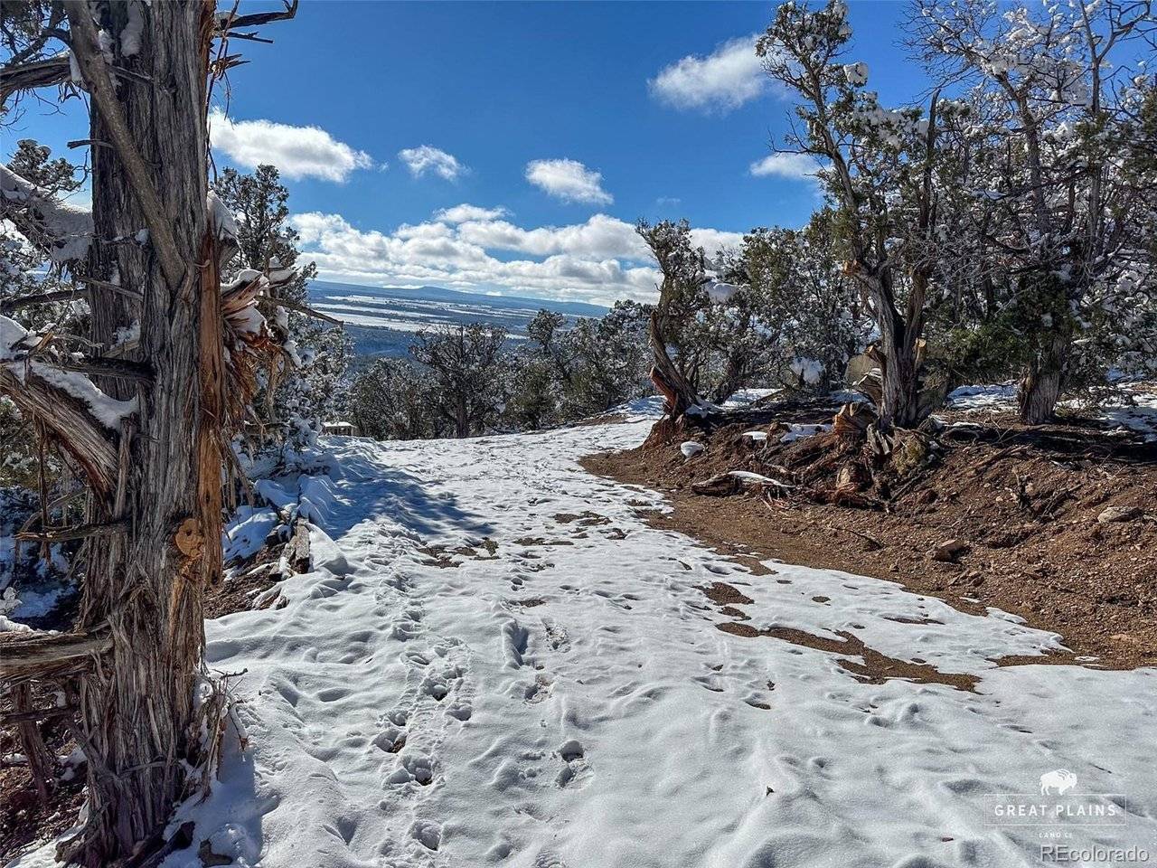 Greenwood, Crawford, CO 81415