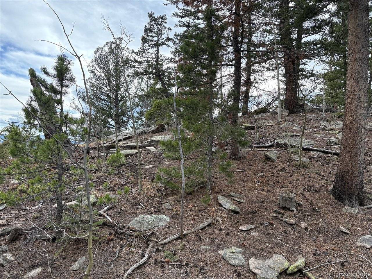 34251 Skyline, Golden, CO 80403