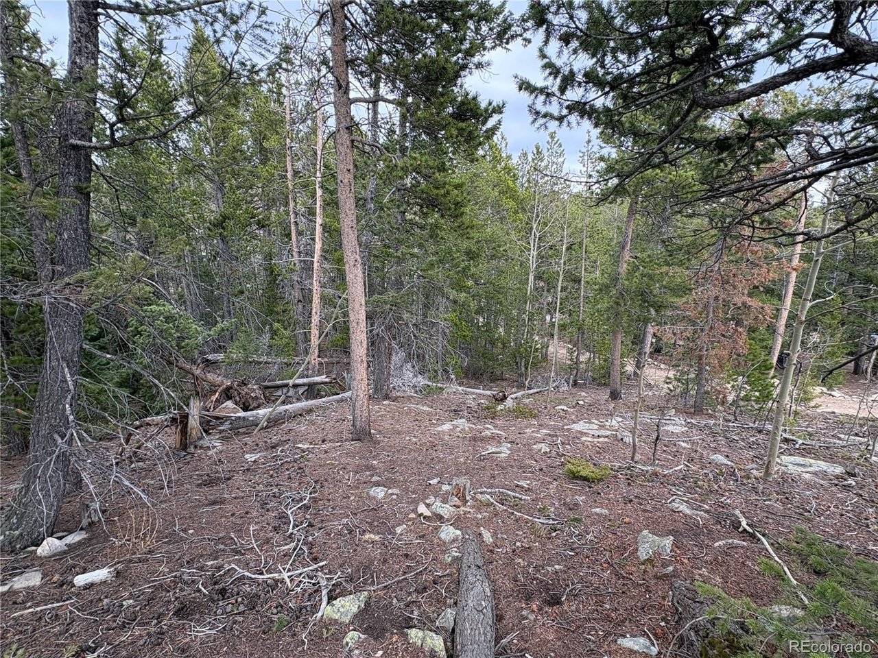 34251 Skyline, Golden, CO 80403